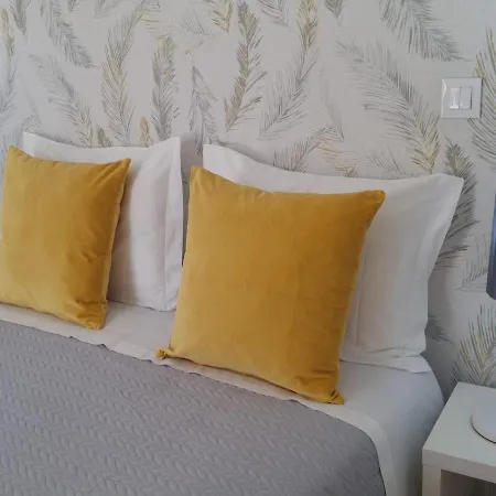 Palmeira Comfort