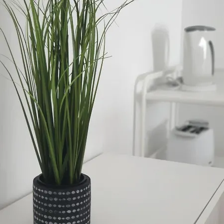 Palmeira Comfort Aveiro